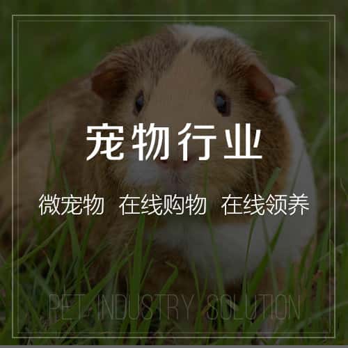 镇江宠物