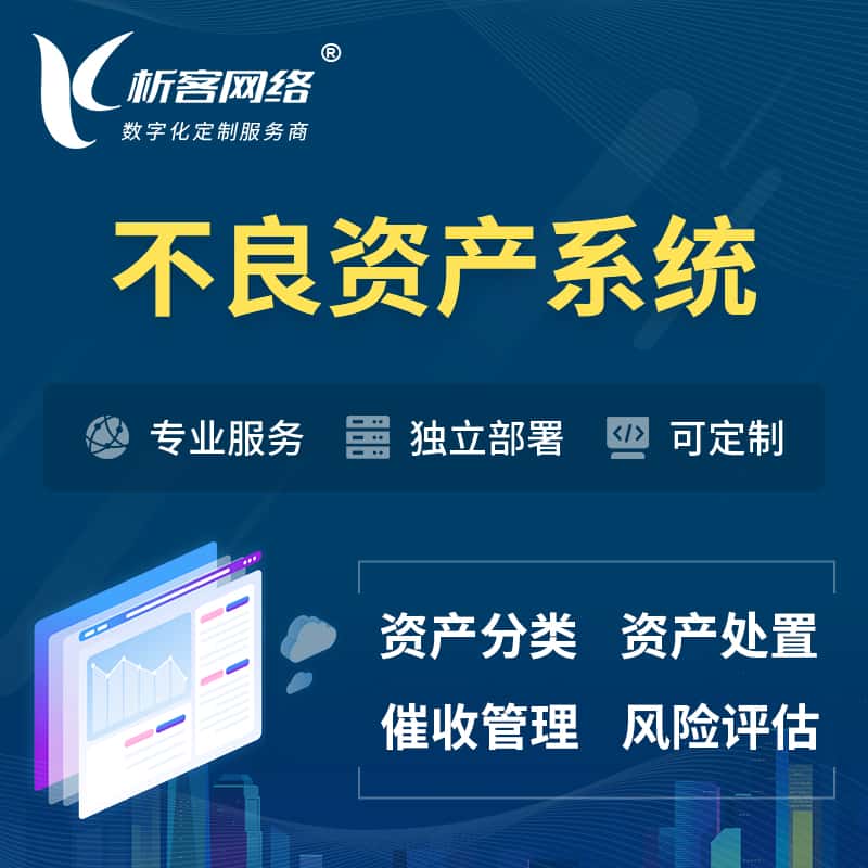 镇江不良资产管理系统