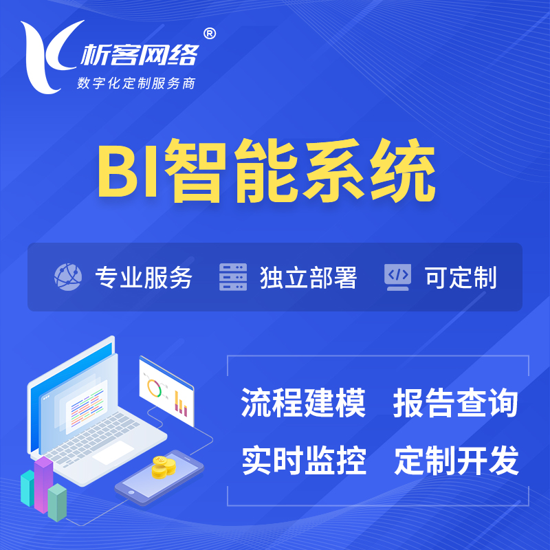 镇江BI智能系统 | BI数据可视化